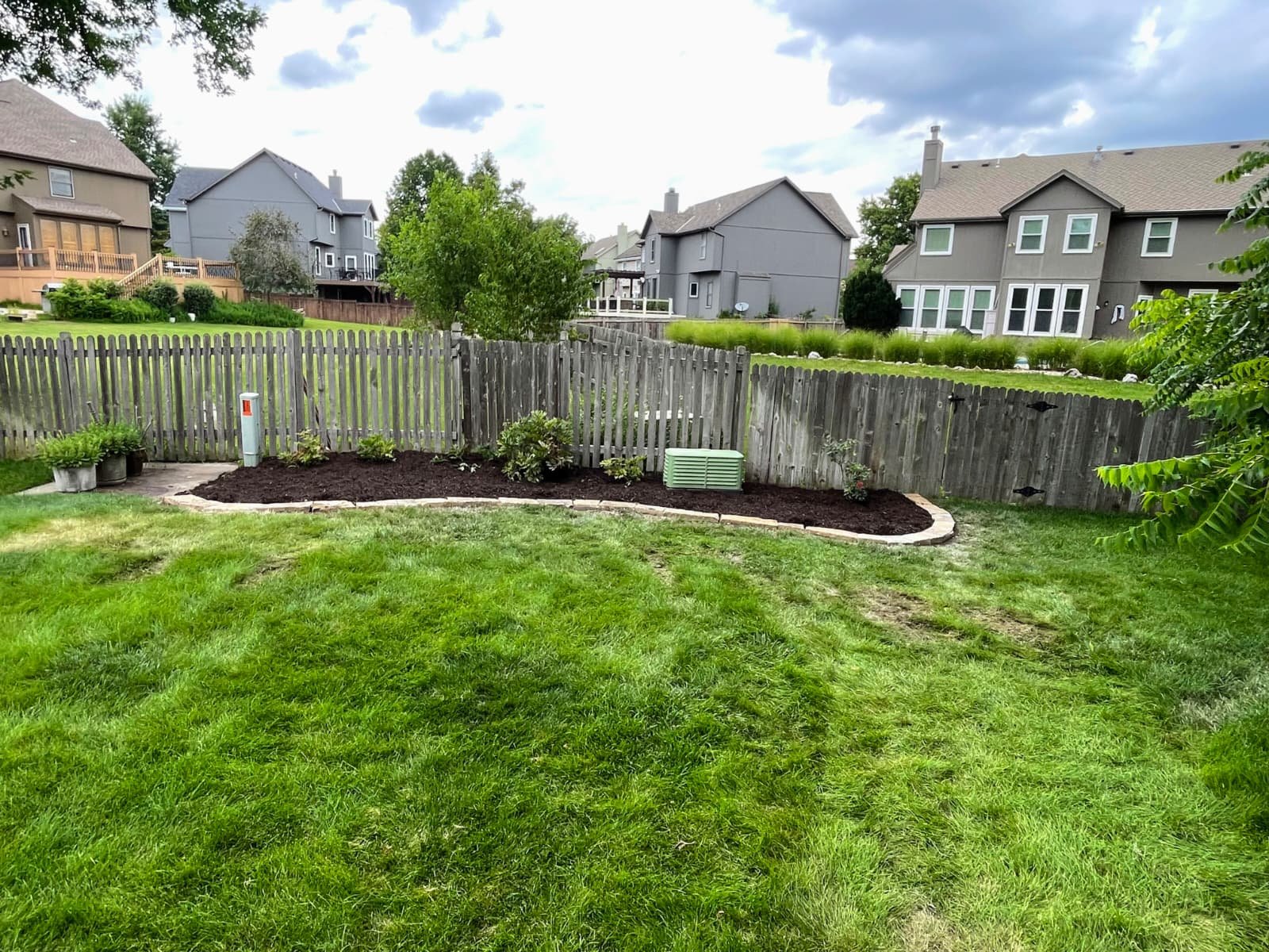 Freshly cut lawn